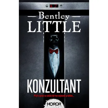 Kniha Konzultant - Bentley Little