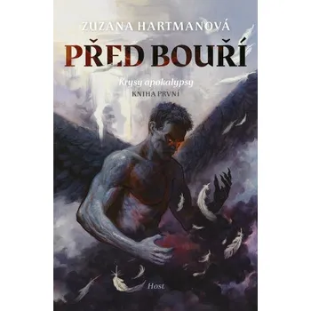 Kniha Před bouří - Zuzana Hartmanová