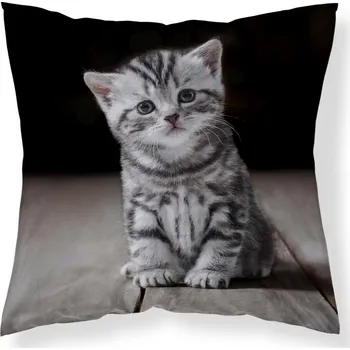 Povlak na dekorativní polštářek DETEXPOL Povlak na polštářek Koťátko micro Polyester, 40/40 cm