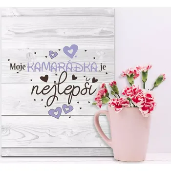 Plechová cedule Sablio Dárková cedulka Moje kamarádka je nejlepší: 30x40 cm