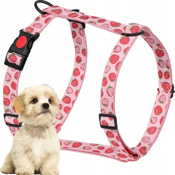 Postroj pro psa ZANDOR PEVNÉ NASTAVITELNÉ POSTROJE GUARD PRO PSA Z PLÁTNA 25mm M