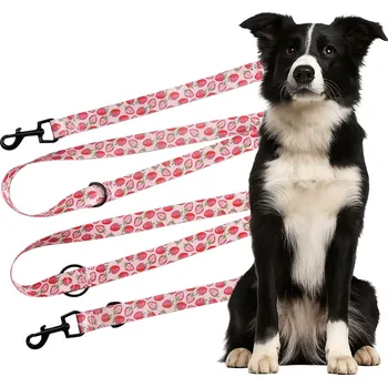 Vodítko pro psa ZANDOR VODÍTKO OBOUSTRANNÉ, SILNÉ PRUHOVÉ HRUBĚ TKANÁ PRO PSY 25 mm 5 m