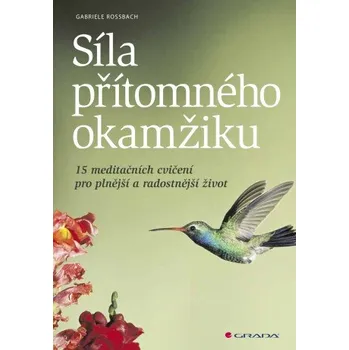 Síla přítomného okamžiku - Gabriele Rossbach
