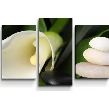 Obraz Sablio Obraz - 3-dílný Kala - 75x50 cm