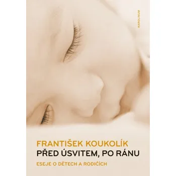 Kniha Před úsvitem, po ránu - František Koukolík