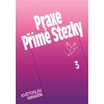 Praxe Přímé Stezky 3 - Květoslav Minařík