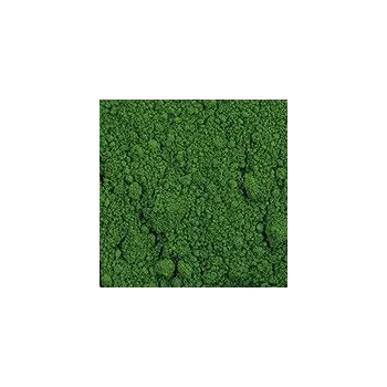 Výtvarná barva Pigment Zlatá loď 100g – 44200 Chromoxid tupý (PG17)