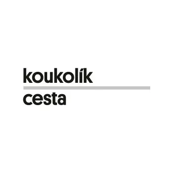 Kniha Cesta - František Koukolík