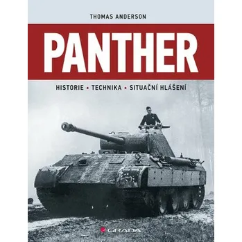 Kniha Panther - Thomas Anderson