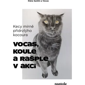 Kniha Kecy mírně přidrzlýho kocoura - Klára Santin