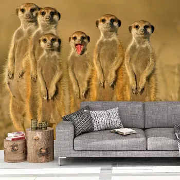 Tapeta Sablio Tapeta Surikaty - 125x75 cm