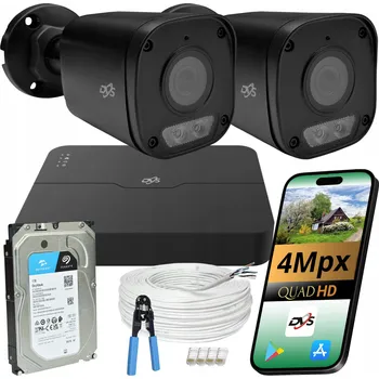 Bezpečnostní kamera Monitorovací systém 2 černé IP PoE kamery 4Mpx Dual Light sada s 1TB diskem DVS