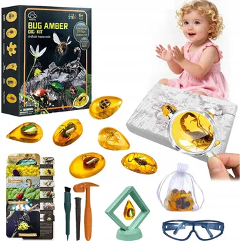 Obraz Archeologická sada vykopávek zkamenělin hmyzu v jantaru + brýle DIY