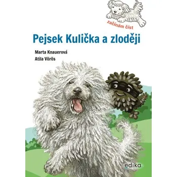Kniha Pejsek Kulička a zloději – Začínám číst - Marta Knauerová