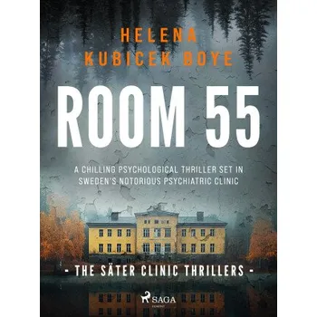 Kniha Room 55 - Helena Kubicek-Boye
