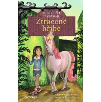 Kniha Jednorožci z tajné stáje – Ztracené hříbě - Whitney Sandersonová, Tejido Jomike