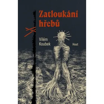 Kniha Zatloukání hřebů - Vilém Koubek