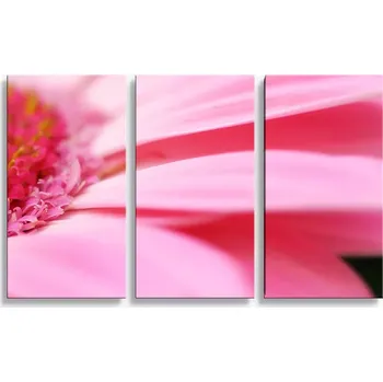 Obraz Sablio Obraz - 3-dílný Růžová gerbera - 120x80 cm