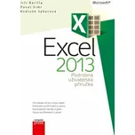 Microsoft Excel 2013 Podrobná uživatelská příručka - Jiří Barilla, Pavel Simr, Květuše Sýkorová