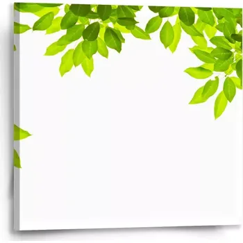 Obraz Sablio Obraz Listy - 50x50 cm