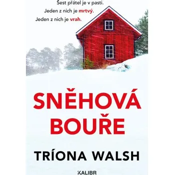 Kniha Sněhová bouře - Triona Walsh