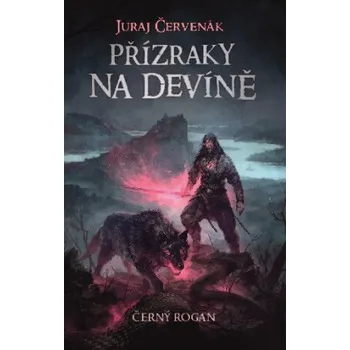 Kniha Přízraky na Devíně - Juraj Červenák