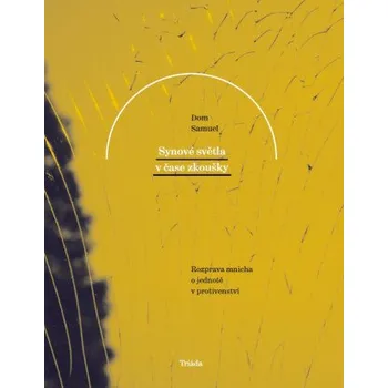 Kniha Synové světla v čase zkoušky - Dom Samuel