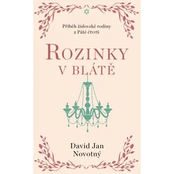 Kniha Rozinky v blátě - David Jan Novotný