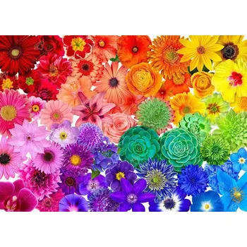 Diamantové malování Diamantové malování - Malované kvítí - č. 876 105x75 cm