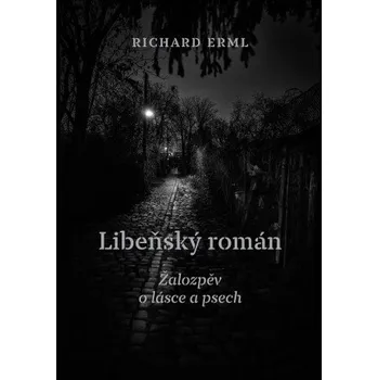 Kniha Libeňský román - Richard Erml