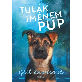 Kniha Tulák jménem Pup - Gill Lewisová