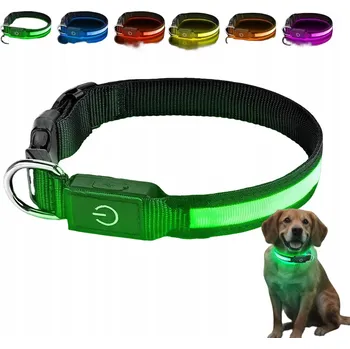 Obojek pro psa LED svítící obojek pro psy do tmy, nabíjecí USB, velikost L 50-60 cm