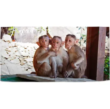 Osuška Sablio Ručník Opičky - 50x100 cm