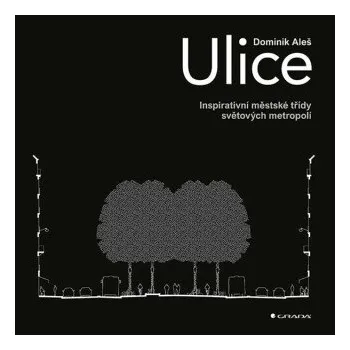 Ulice - Dominik Aleš