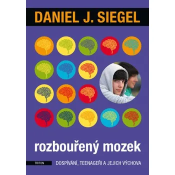 Kniha Rozbouřený mozek - Daniel J. Siegel