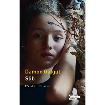 Kniha Slib - Damon Galgut