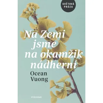 Kniha Na Zemi jsme na okamžik nádherní - Ocean Vuong