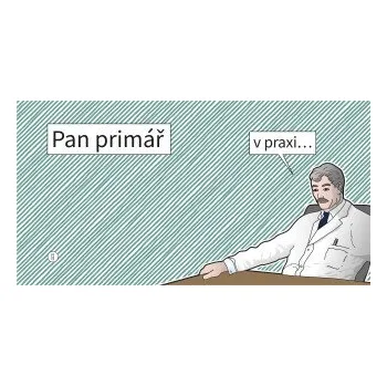 Kniha Pan primář v praxi - Primář Pan