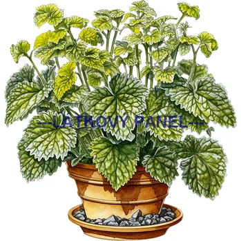 Látkový panel - Bylinky - BY-23 Velikost: 25x25cm, Materiál: Teplákovina nepočesaná