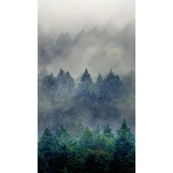 Fototapeta Fototapeta Les v mlze 364750 Rasch