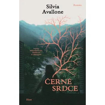 Kniha Černé srdce - Silvia Avallone