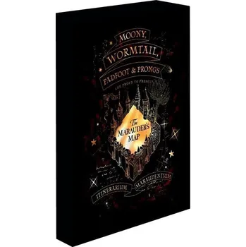 DVD film Harry Potter obraz LED svítící 30x40 cm - Pobertův plánek