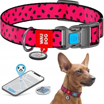 Obojek pro psa Obojek pro psa Waudog vel. S