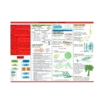 Přírodověda Tabulka - botanika