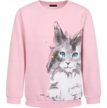 Dívčí mikina Dětská mikina Endo bavlna velikost 104