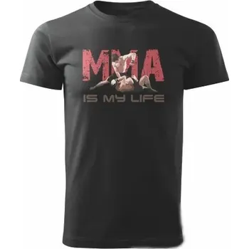 Pánská móda Pánské tričko kulatý výstřih Striker velikost S