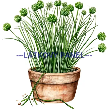 Látkový panel - Bylinky - BY-20 Velikost: 40x40cm, Materiál: Kočárkovina