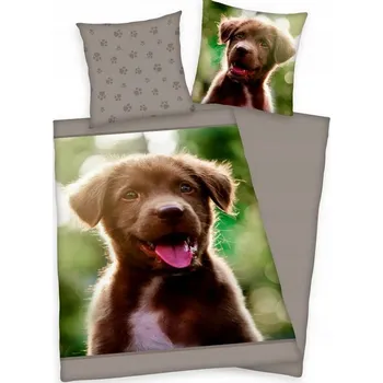 Povlečení Sada povlečení Jerry Fabrics 140 x 200 cm, vícebarevné