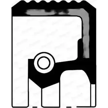 Vačková hřídel Payen NF846 Gufero hřídele, vačkový hřídel