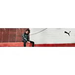 Puma dámské sněhule 393920 04 velikost 37,5